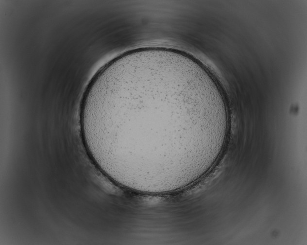 X0000100861230200807181128