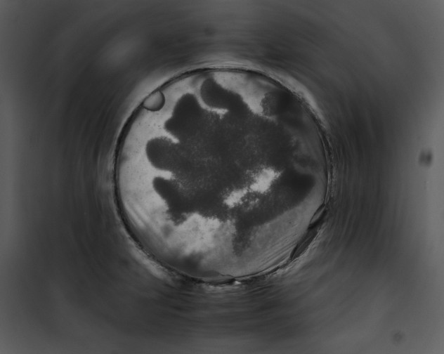 X0000100861231200807181128