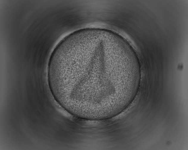 X0000100861232200807181128