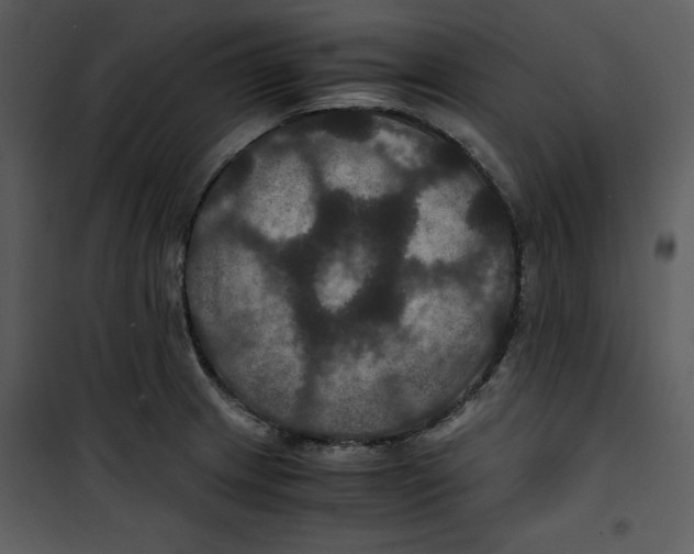 X0000100861233200807181128