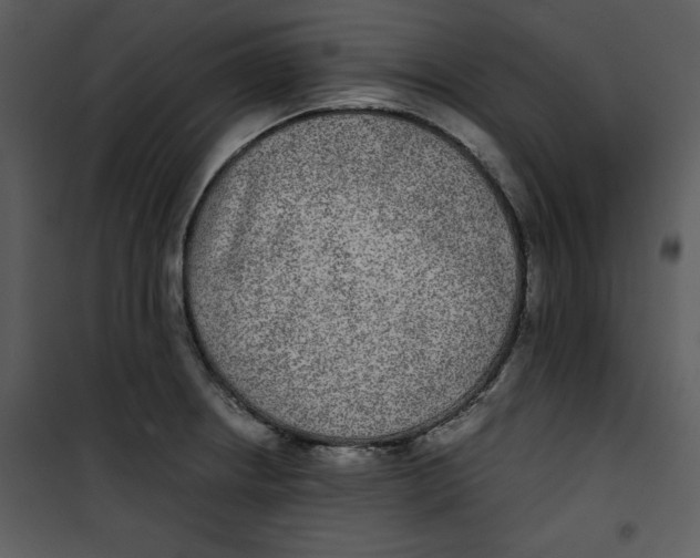 X0000100861234200807181128