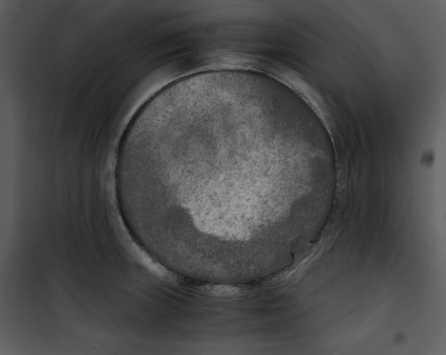 X0000100861235200807181128