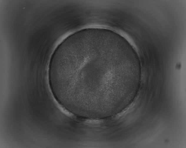 X0000100861237200807181128