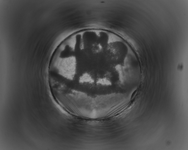 X0000100861239200807181128