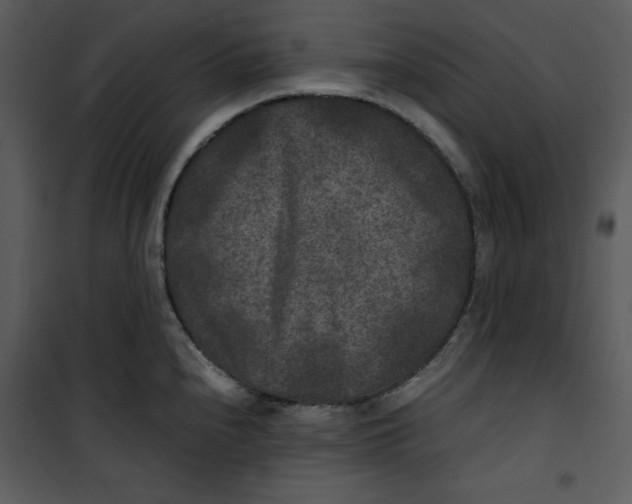 X0000100861240200807181128