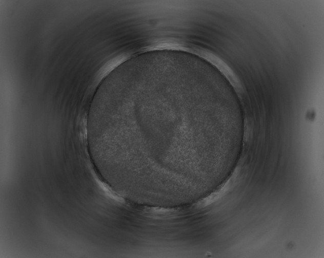 X0000100861241200807181128