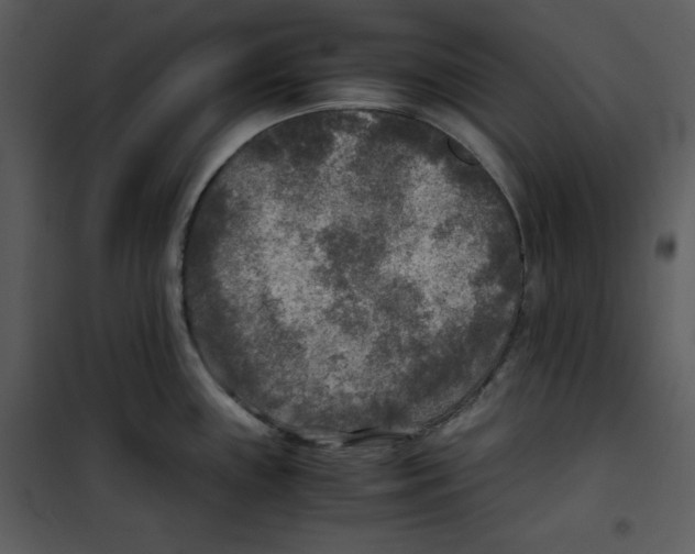 X0000100861243200807181128