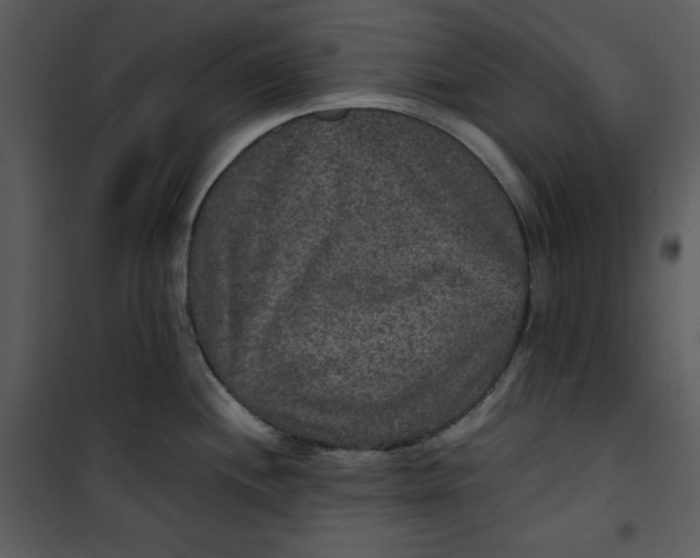 X0000100861244200807181128