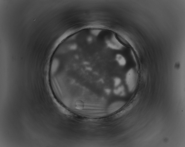 X0000100861245200807181128