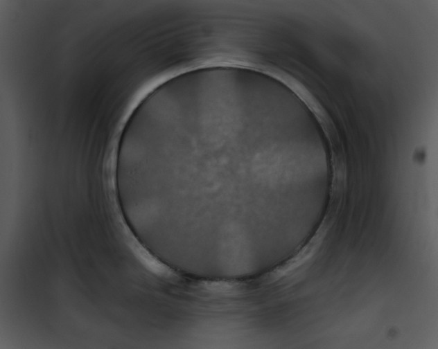 X0000100861246200807181128