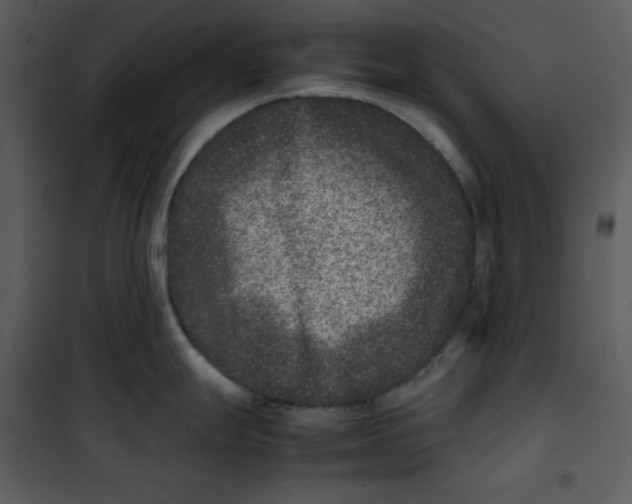 X0000100861247200807181128