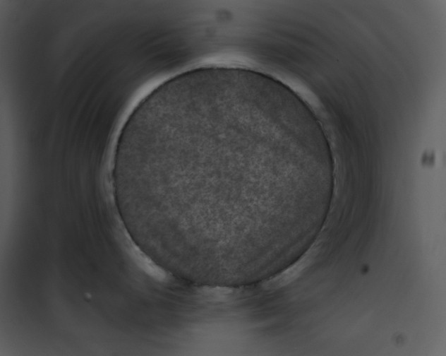 X0000100861248200807181128