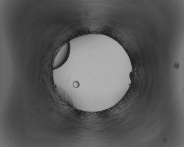 X0000100861249200807181128