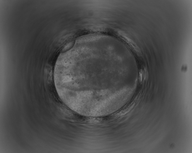 X0000100861251200807181128