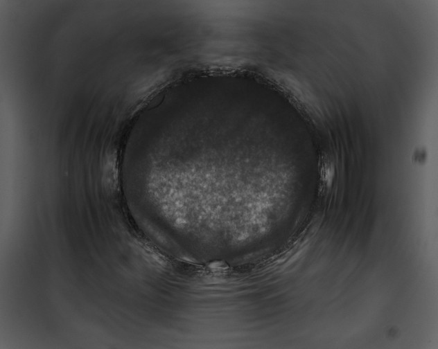 X0000100861252200807181128