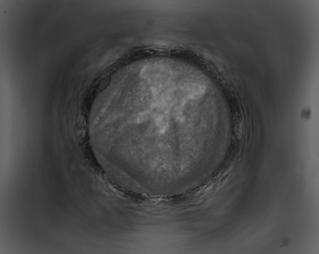 X0000100861253200807181128