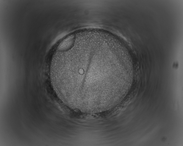 X0000100861255200807181128