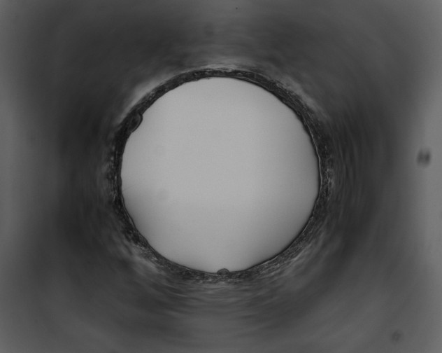 X0000100861256200807181128