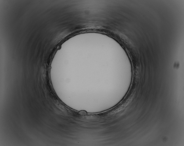 X0000100861257200807181128