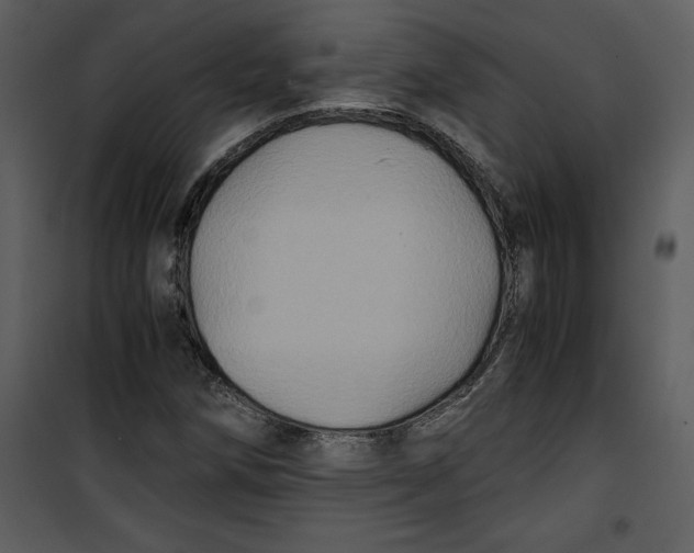 X0000100861258200807181128