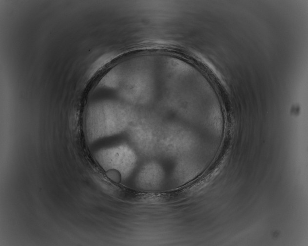 X0000100861259200807181128