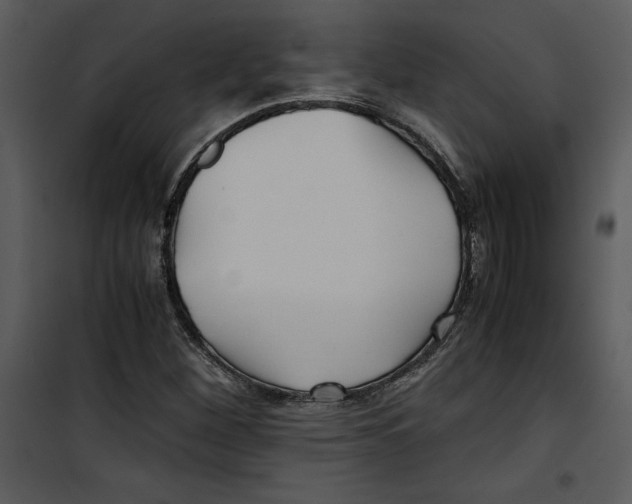 X0000100861260200807181128