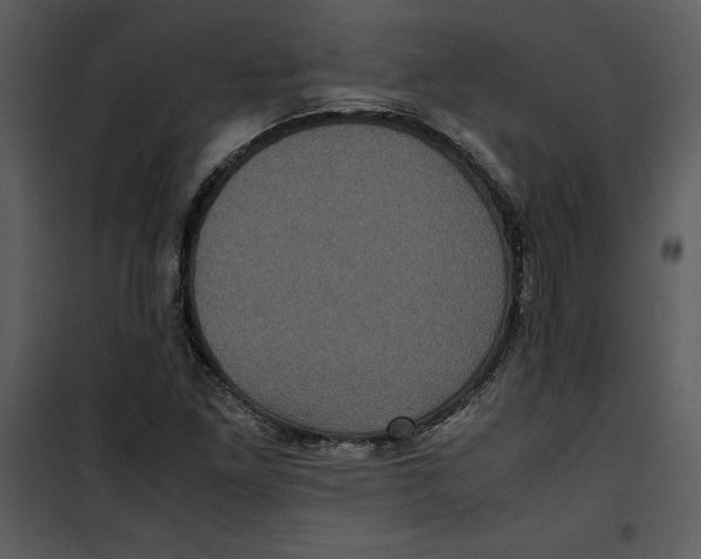 X0000100861261200807181128