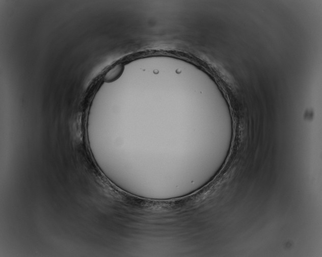 X0000100861262200807181127