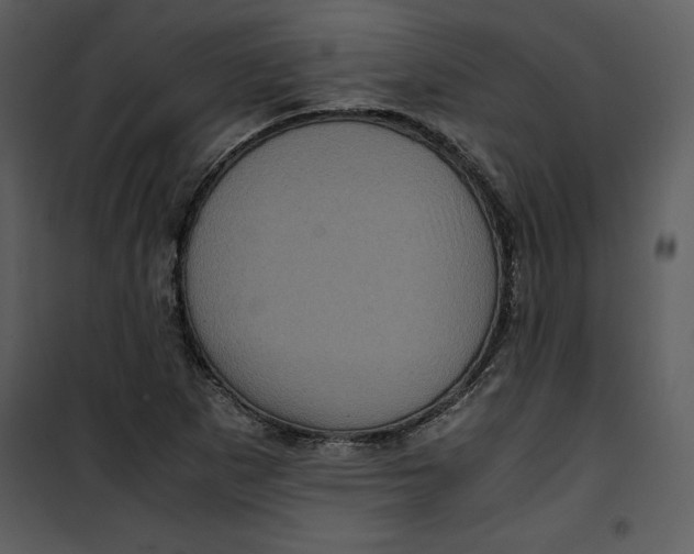 X0000100861265200807181127