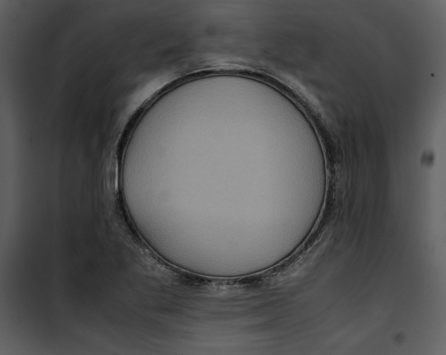 X0000100861269200807181127