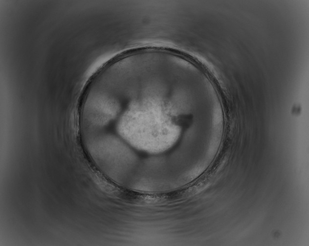 X0000100861271200807181127