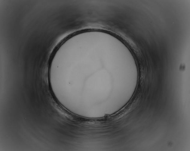 X0000100861272200807181127