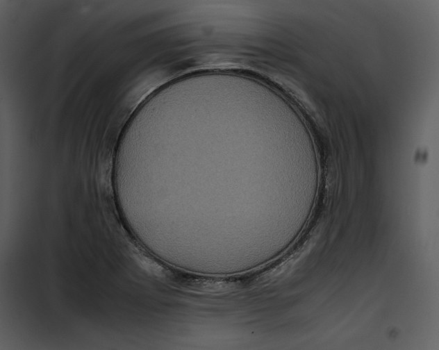 X0000100861273200807181127