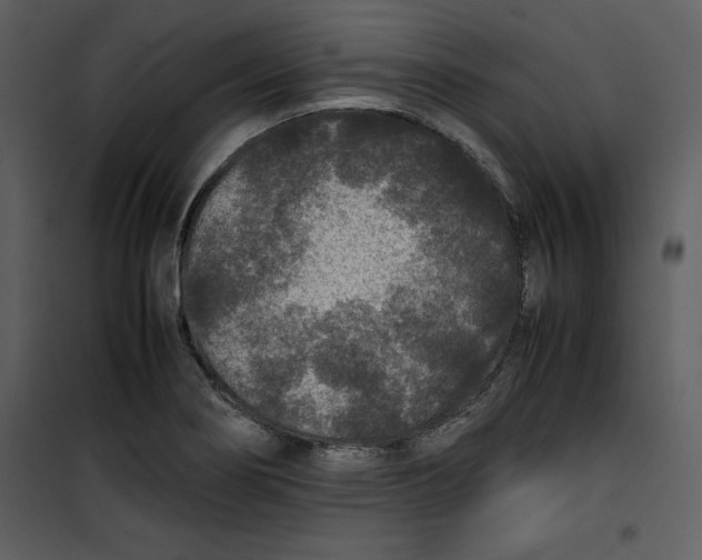 X0000100861274200807181127