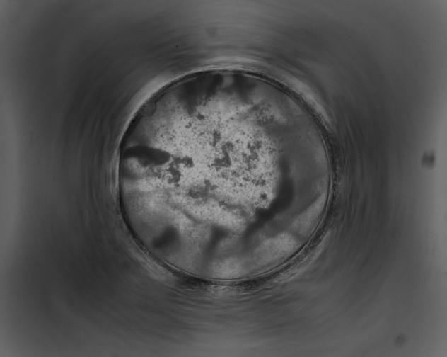 X0000100861275200807181127