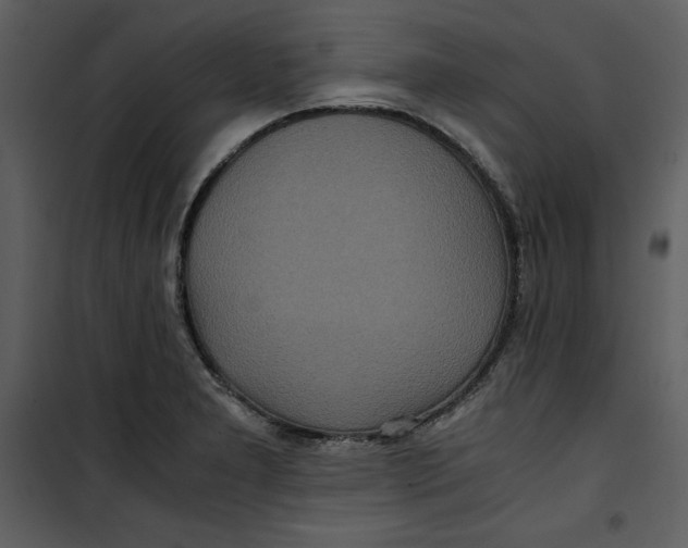 X0000100861277200807181127