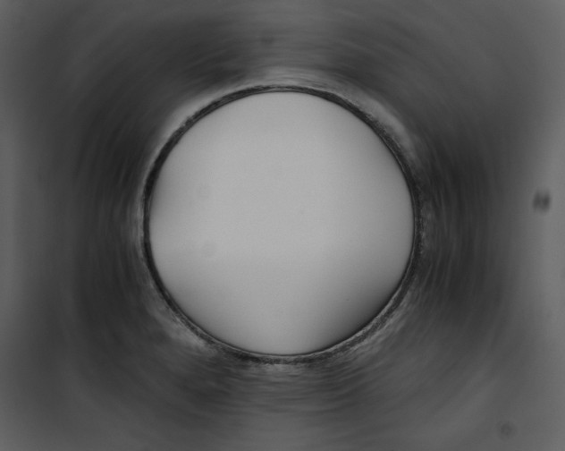 X0000100861280200807181127