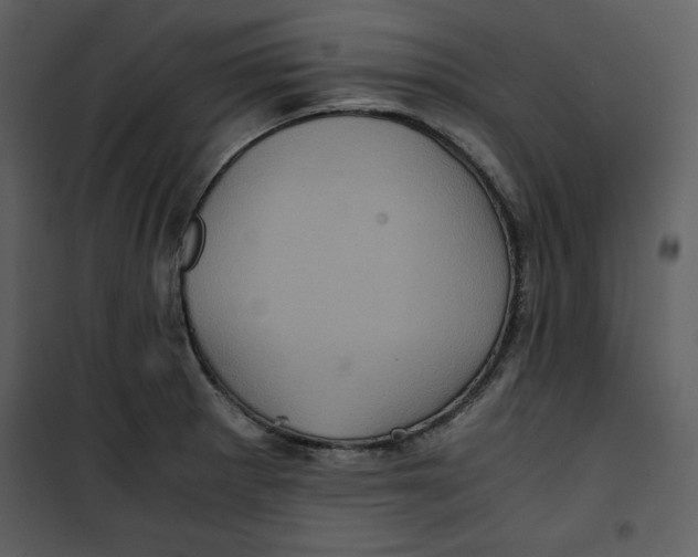 X0000100861281200807181127