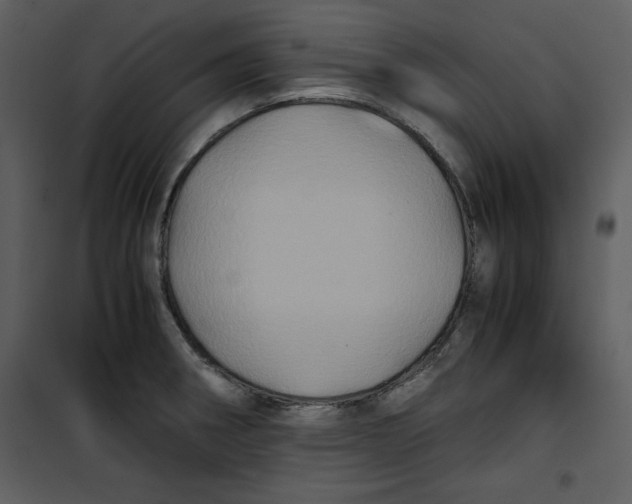 X0000100861282200807181127