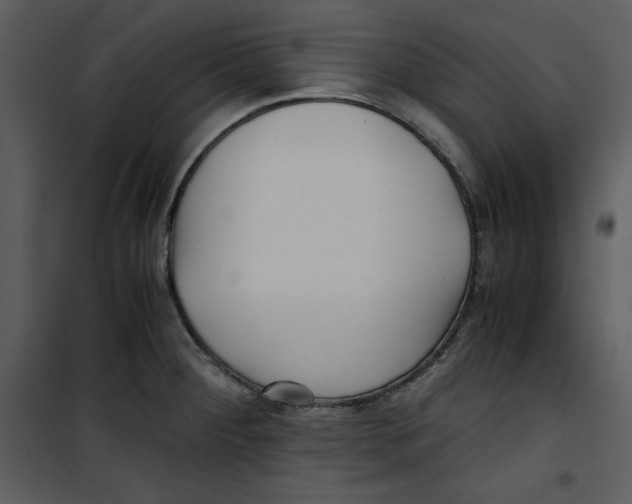 X0000100861284200807181127