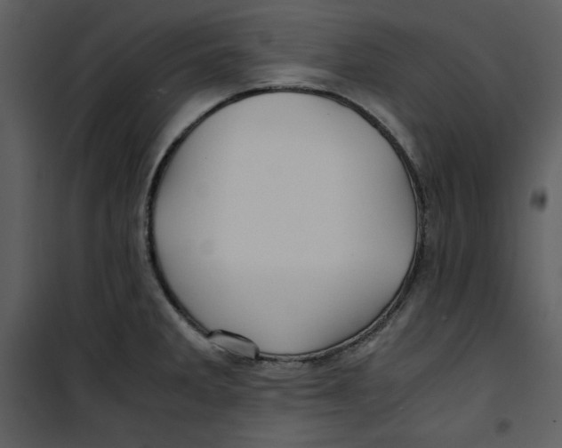 X0000100861285200807181127