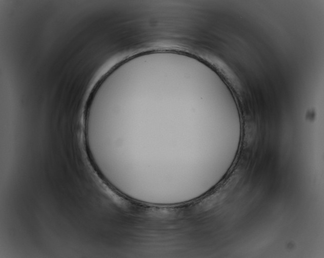 X0000100861286200807181127