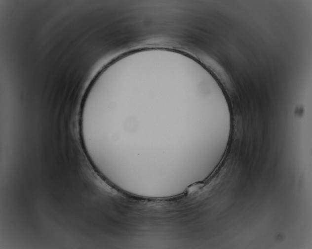 X0000100861288200807181127