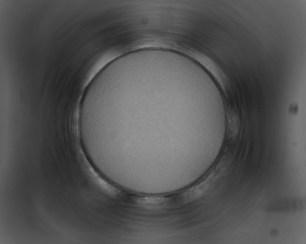 X0000100861290200807181127