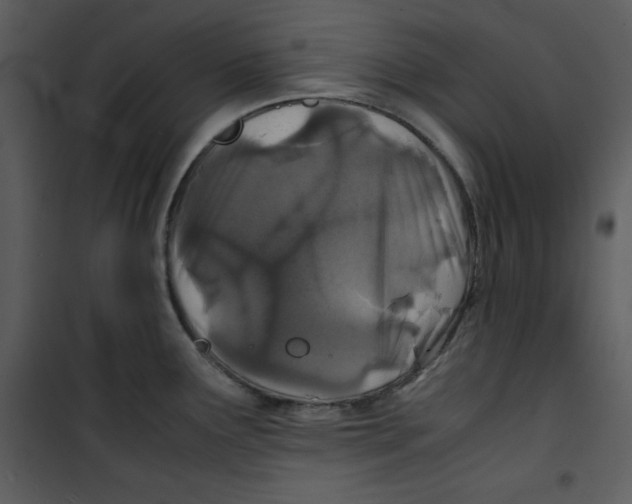 X0000100861291200807181127