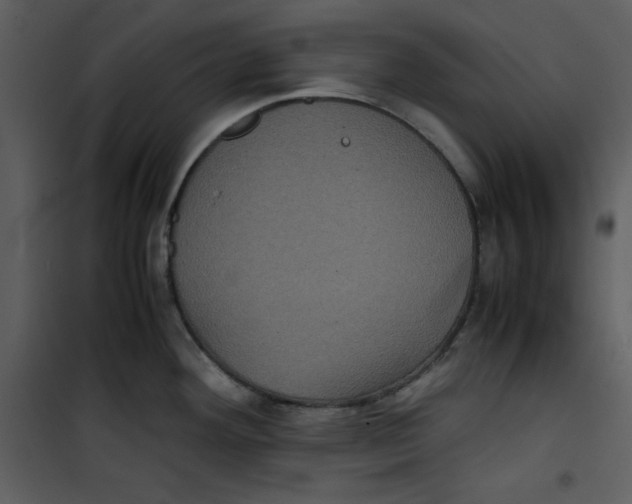 X0000100861292200807181127