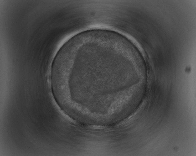 X0000100861295200807181127