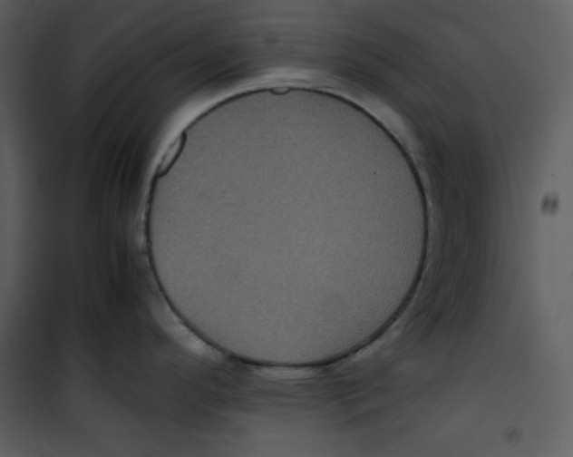 X0000100861296200807181127