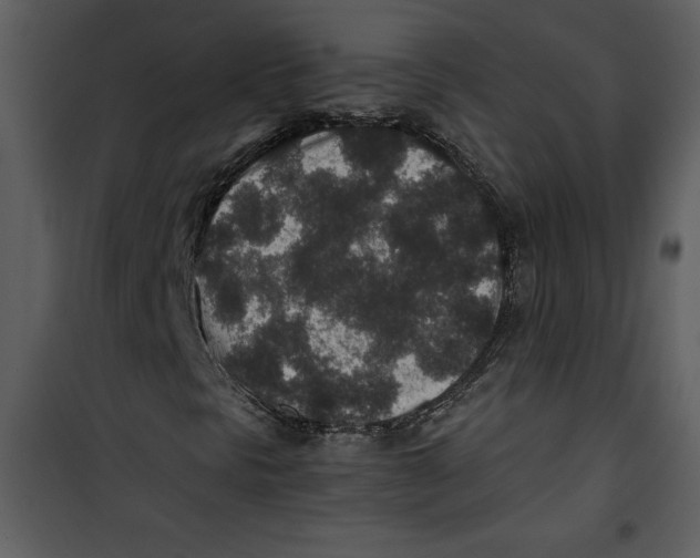 X0000100861297200807181126