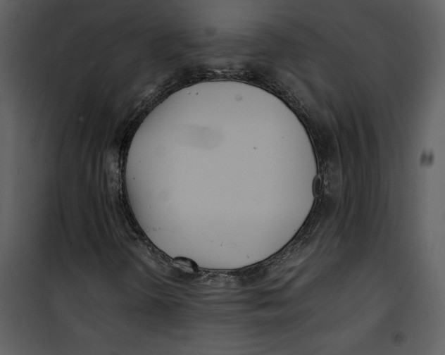 X0000100861298200807181126